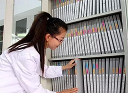 IVF疗程期间建立泰国IVF诊疗档案