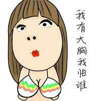 寻琦
