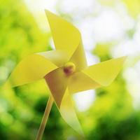 泰国试管婴儿攻略
