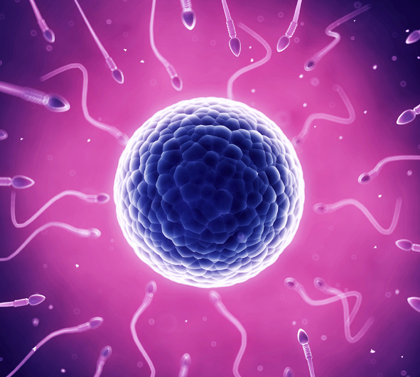 1509000808317772.png