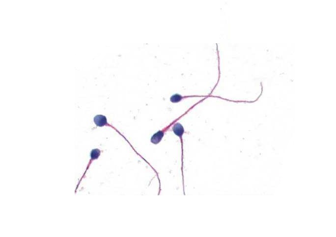 1510649344506497.jpg