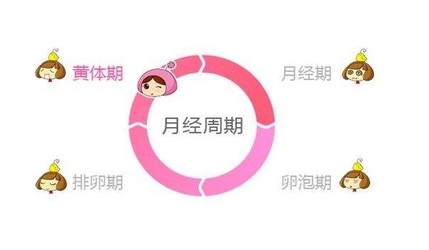 话哈的.jpg