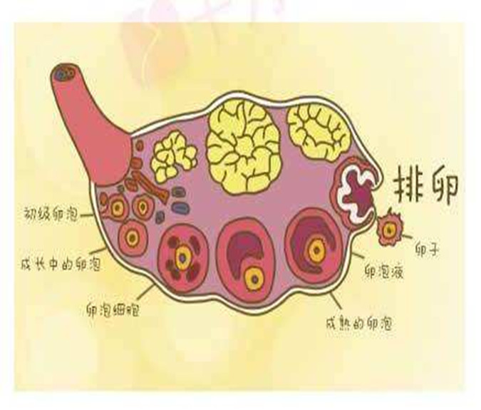 153_副本D.jpg