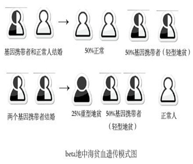 157_副本D.jpg