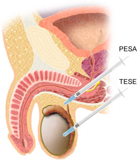 Picture-2.jpg