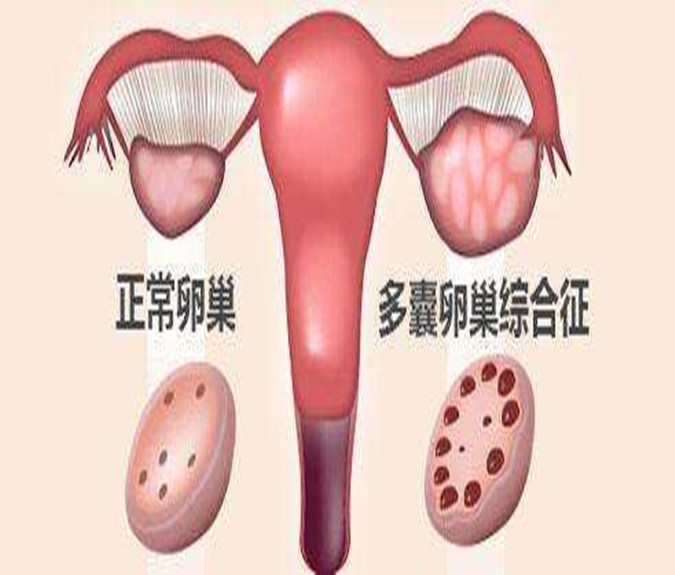305_副本D.jpg