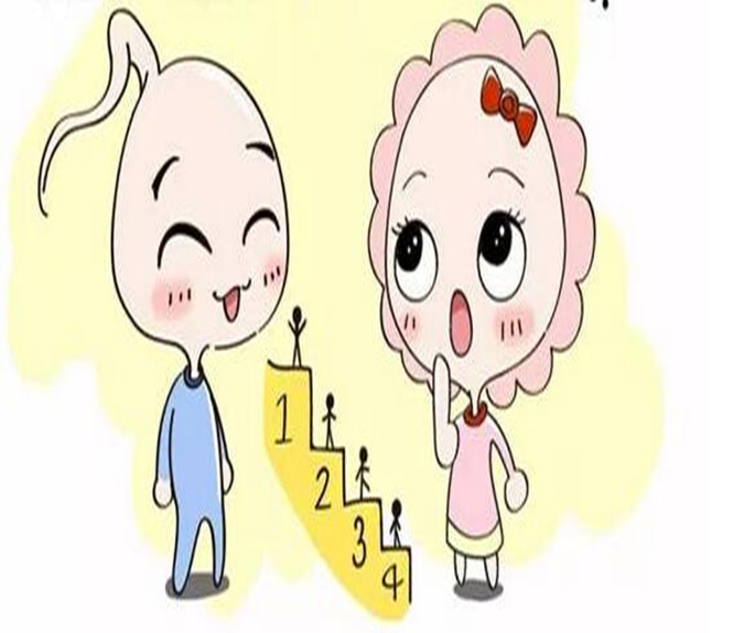 310_副本D.jpg