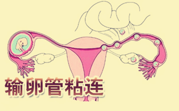 343_副本D.jpg