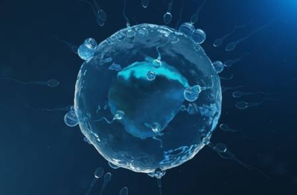 泰国第三代试管婴儿费用多少