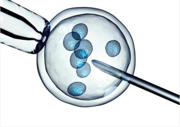 泰国试管婴儿与PGD、PGS有何区别