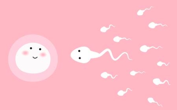 精子质量不好能做泰国第三代试管婴儿吗