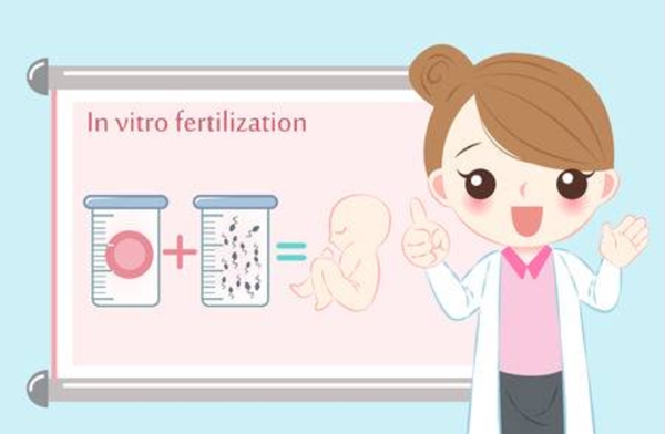 泰国试管婴儿的费用可以报销吗