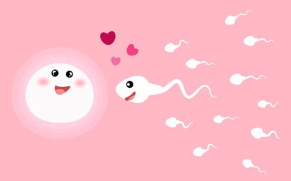 试管婴儿