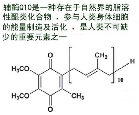 辅酶q10对泰国试管婴儿有什么作用?