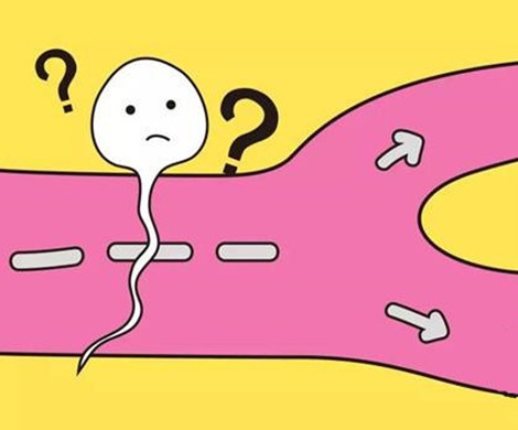 试管婴儿能从尿液中提取精子?