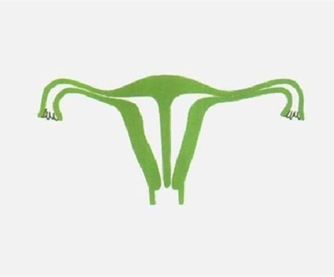 子宫纵隔会影响泰国试管婴儿成功率?