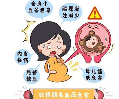 泰国试管婴儿的不孕患者血压偏高可千万要注意了!