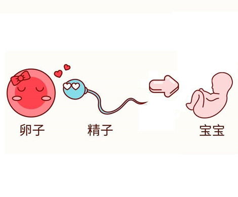 泰国试管婴儿的适应和不适应人群
