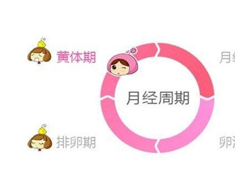 试管婴儿黄体酮不足的患者知道什么的黄体期吗?