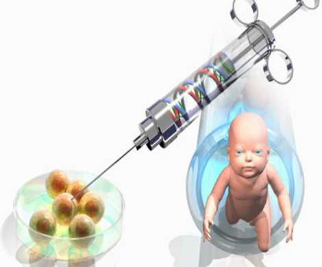 试管婴儿技术里的特殊技术介绍