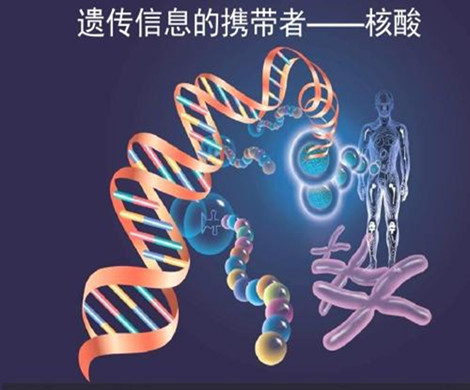 能自然受孕的遗传病患者可以做泰国试管婴儿治疗吗?