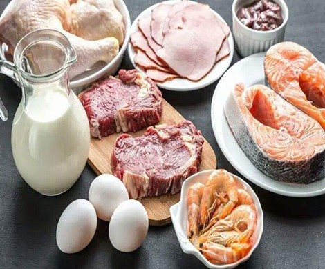 蛋白粉可以补充试管所需的蛋白质吗?