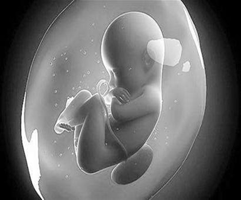 先天性子宫畸形还可以做泰国试管婴儿吗?