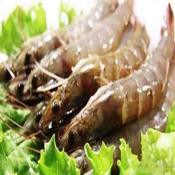 男性精液不液化导致不育可以做试管婴儿吗?