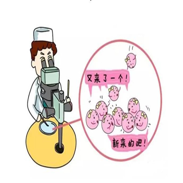 泰国试管婴儿安全吗?
