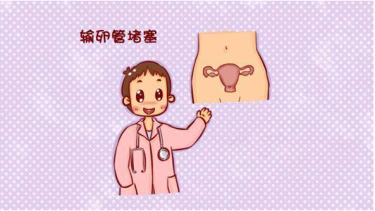 泰国试管婴儿:输卵管堵塞治疗成功率高吗